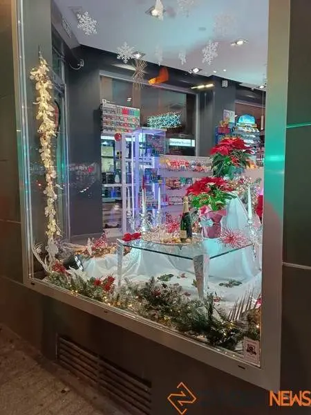 Escaparate navide&ntilde;o en Zamora (8)
