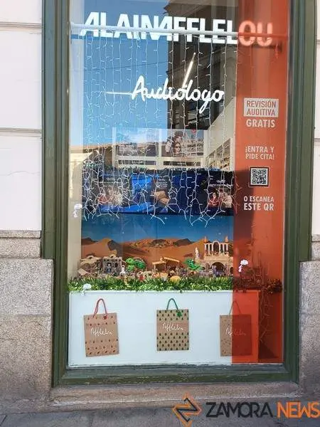 Escaparate navide&ntilde;o en Zamora (9)