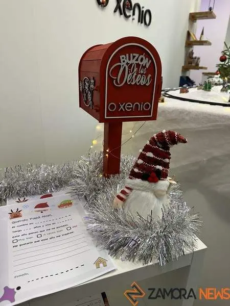 Escaparate navide&ntilde;o en Zamora (11)