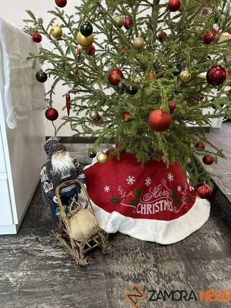 Escaparate navide&ntilde;o en Zamora (12)