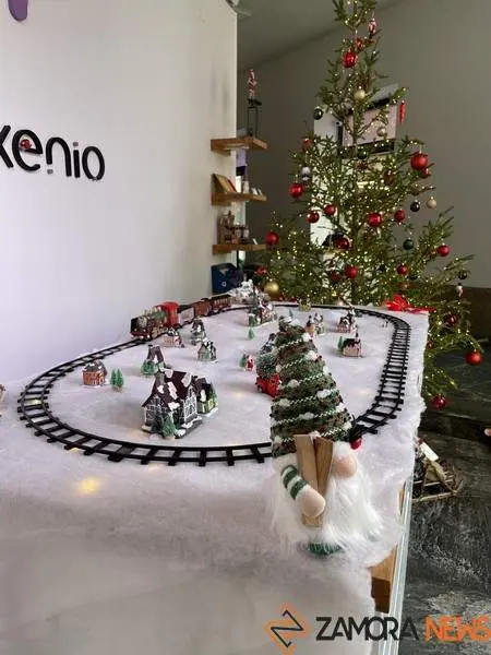 Escaparate navide&ntilde;o en Zamora (13)