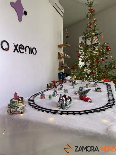 Escaparate navide&ntilde;o en Zamora (15)