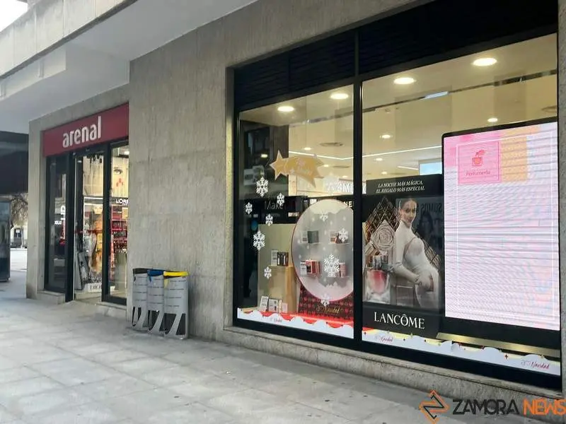 Escaparate navide&ntilde;o en Zamora (17)