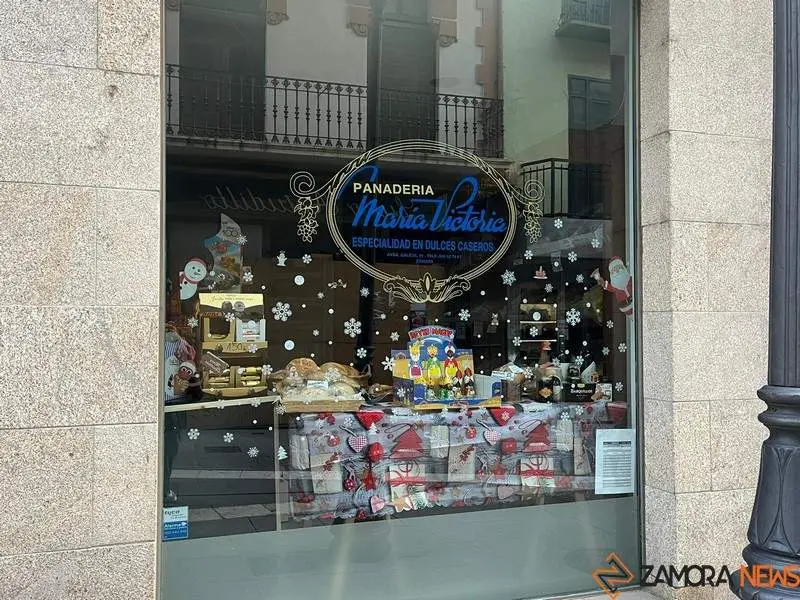 Escaparate navide&ntilde;o en Zamora (19)