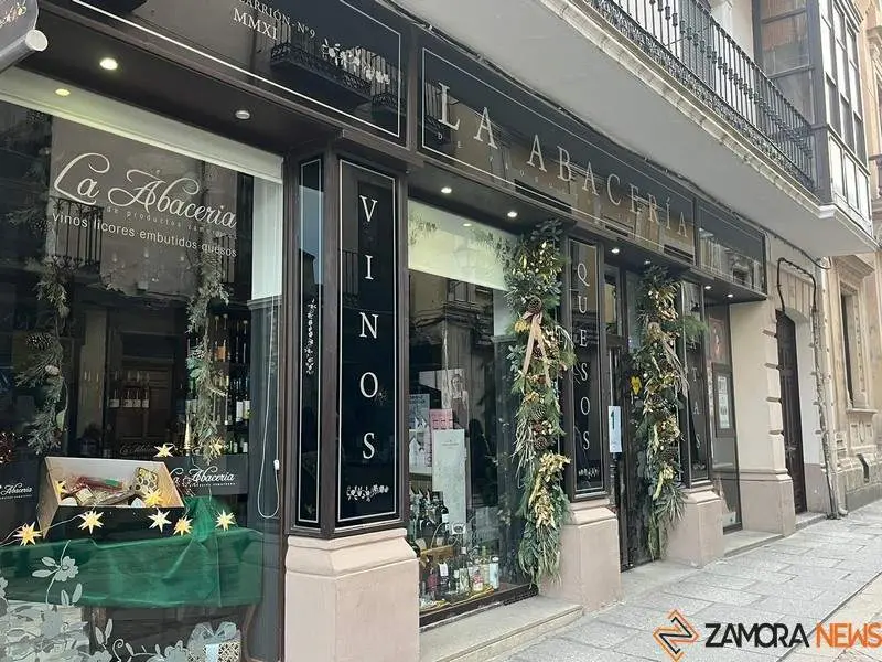 Escaparate navide&ntilde;o en Zamora (20)