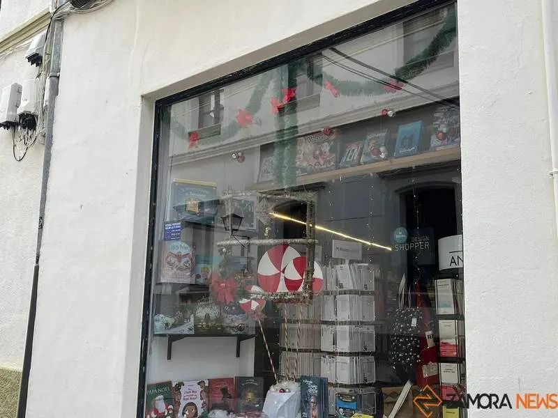 Escaparate navide&ntilde;o en Zamora (21)