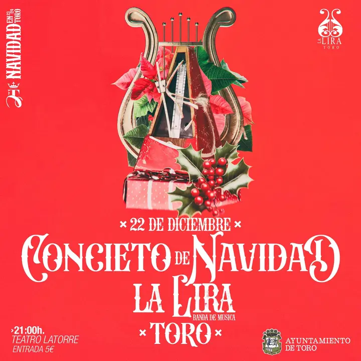 Concierto de Navidad en Toro (1)
