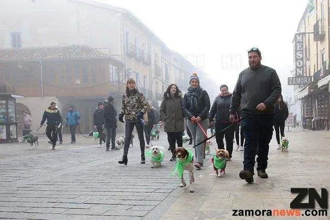 Pasada edición de la marcha San Perruno. Fotografía: Rocío Gato