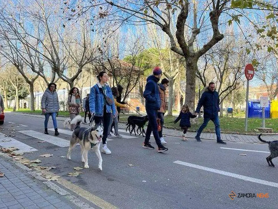 Marcha San Perruno