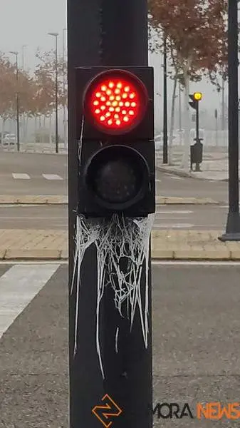cencellada en Zamora 