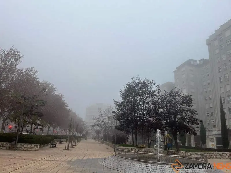 día de niebla en Zamora 