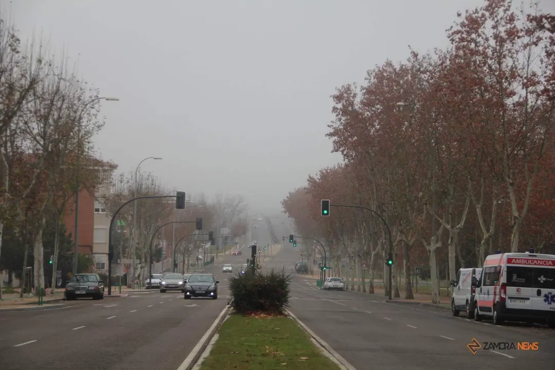 Jornada de niebla en Zamora al paso por Cardenal Cisneros