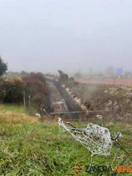 niebla en Santibáñez de Tera 