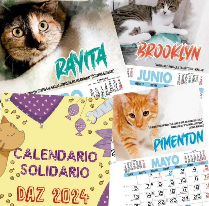 calendario solidario