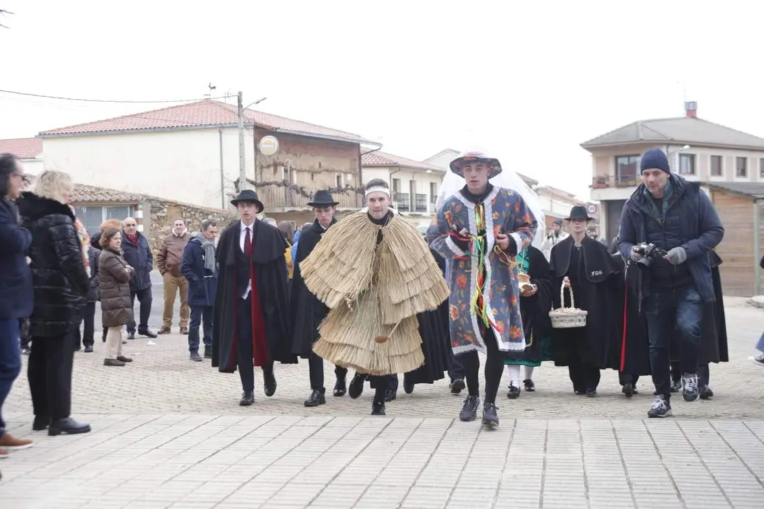 Tafarrón Pozuelo de Tábara. IMAGEN CECIDA