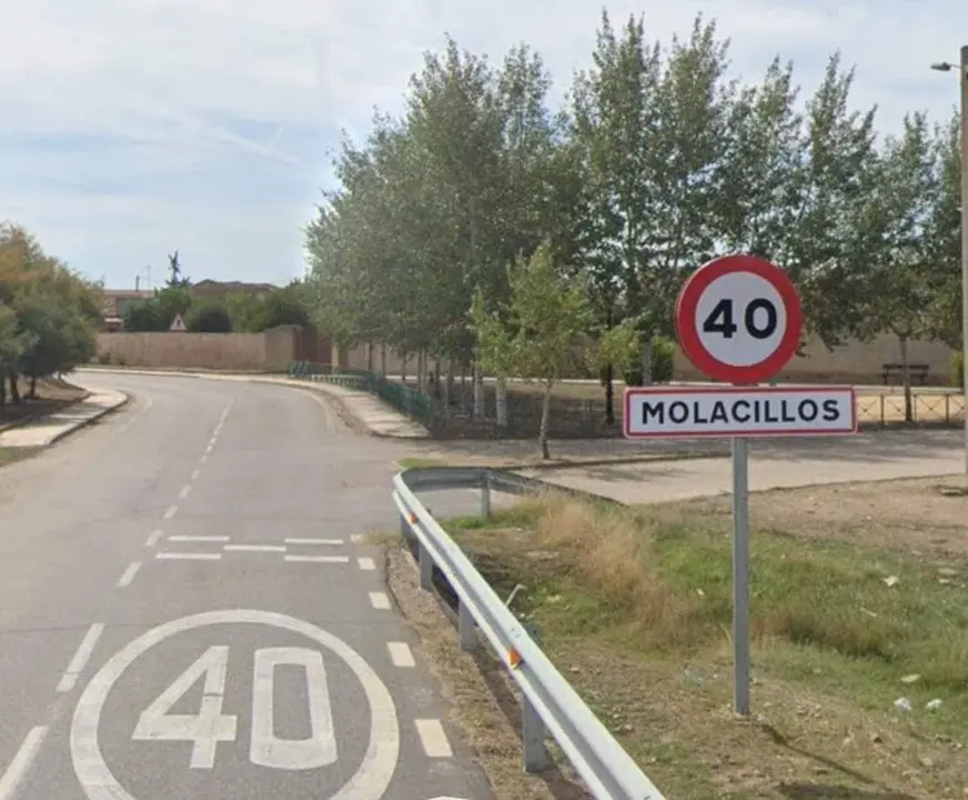 Molacillos