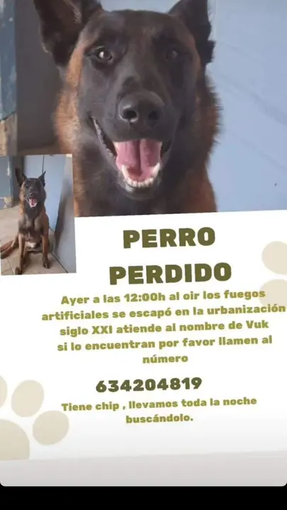 Piden colaboración ciudadana para encontrar a Vuk
