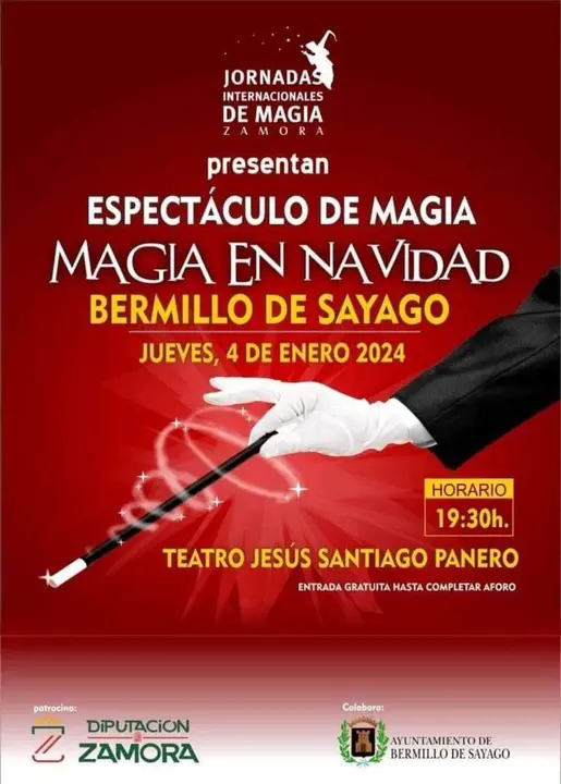 cartel jornada de magia en Bermillo de Sayago