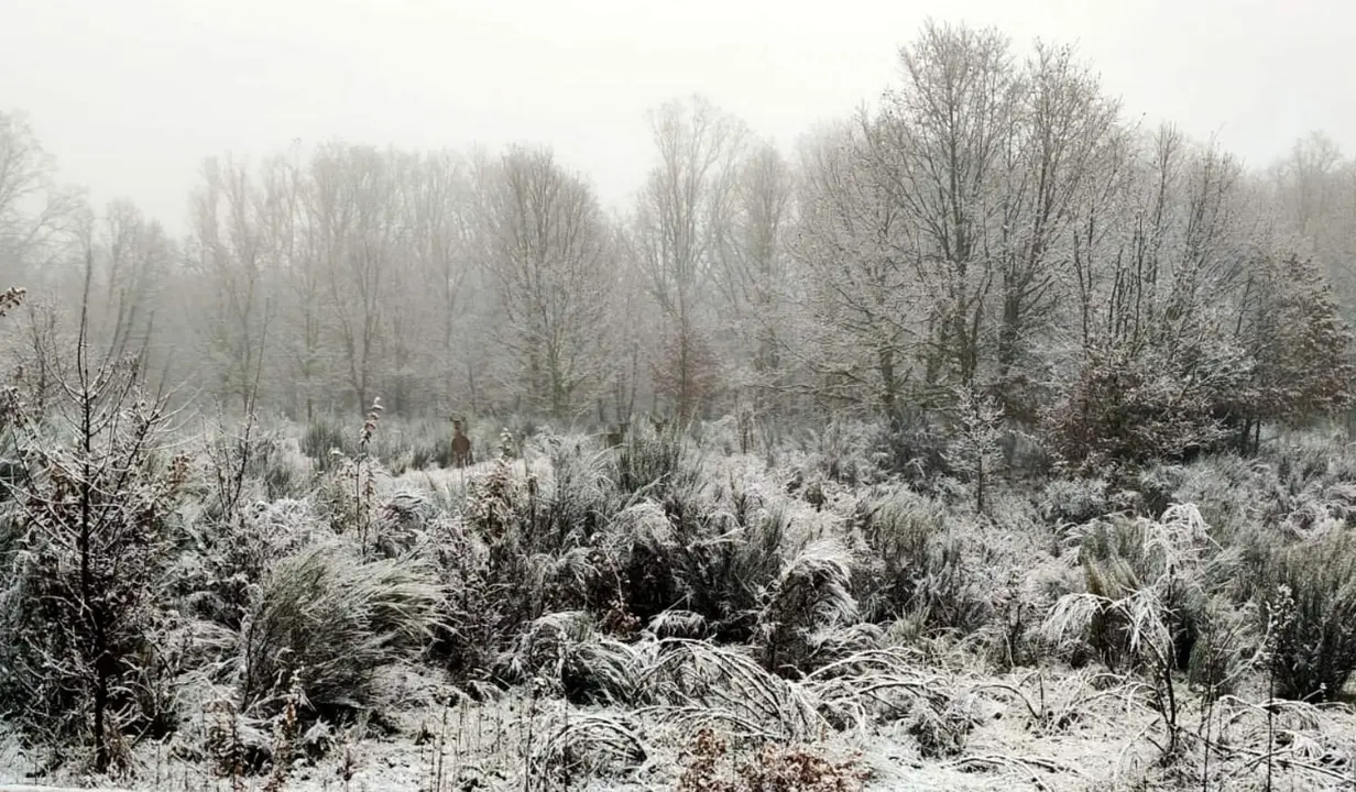nieve sanabria. Imagen de archivo