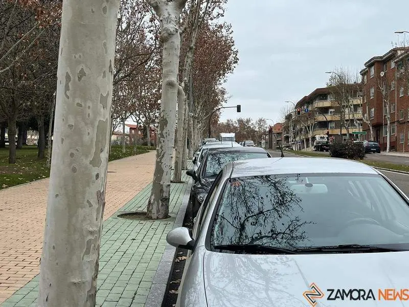 Coches estacionados en Zamora (3)