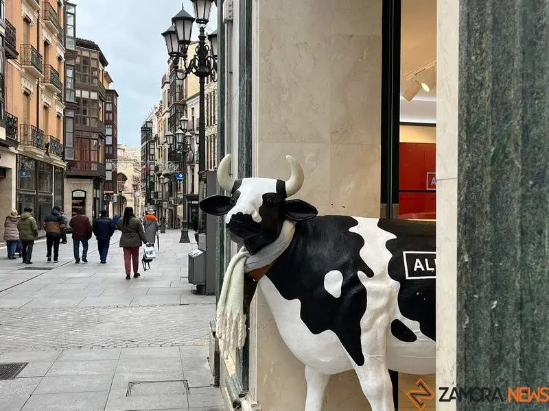 Frío en Zamora