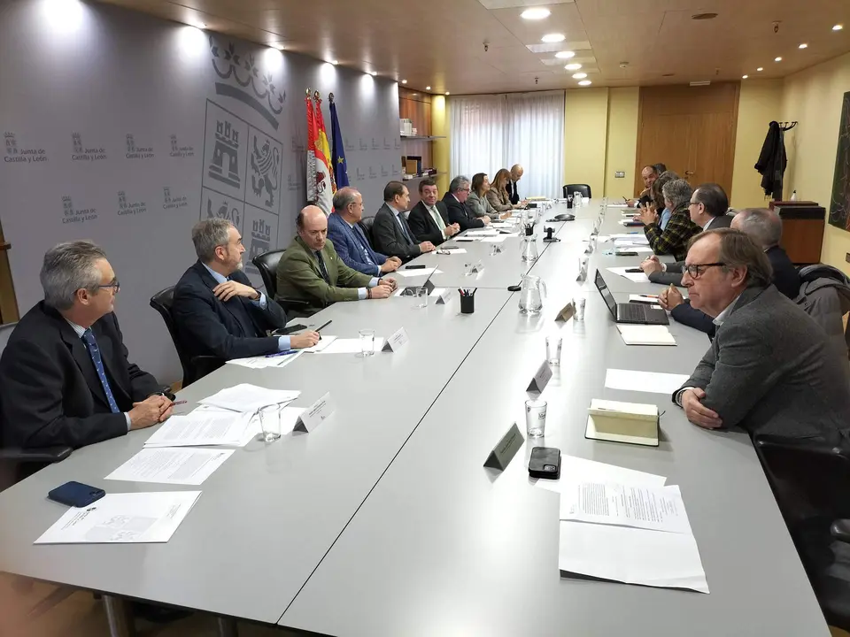 Consejo de Cooperación Local