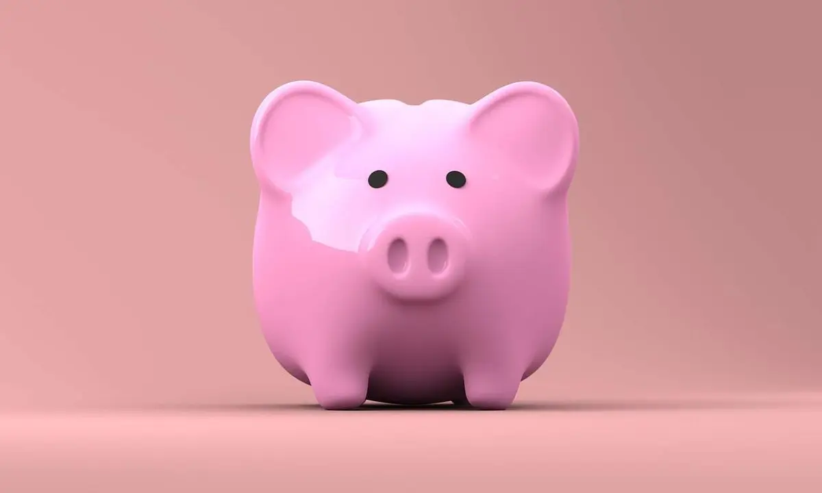 Hucha ahorro