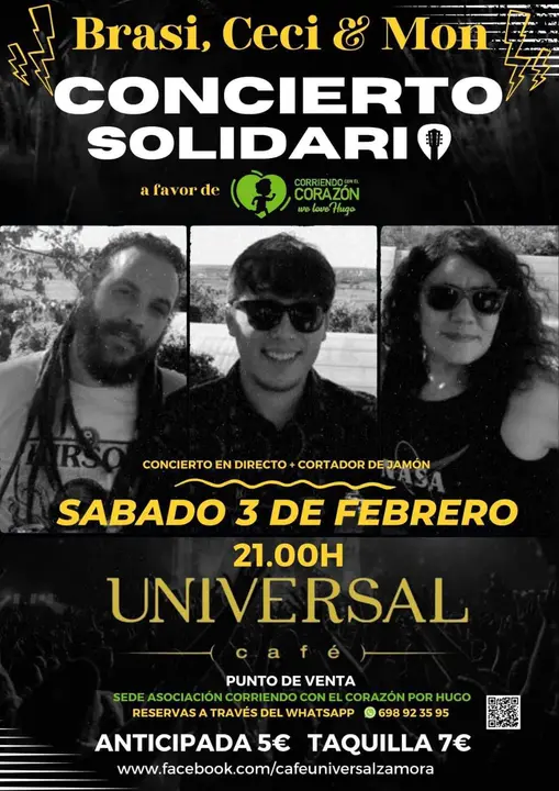 cartel concierto solidario