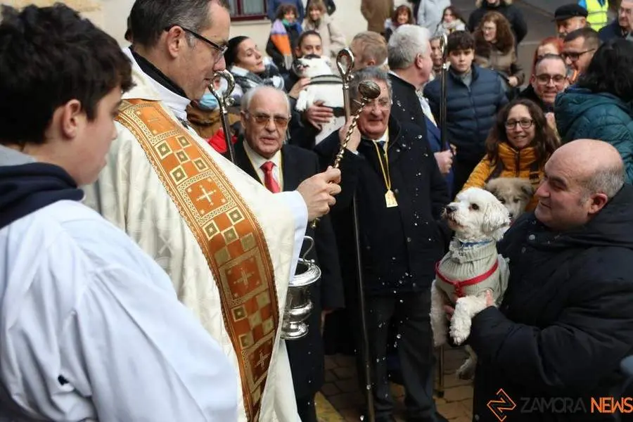 bendición de animales _22