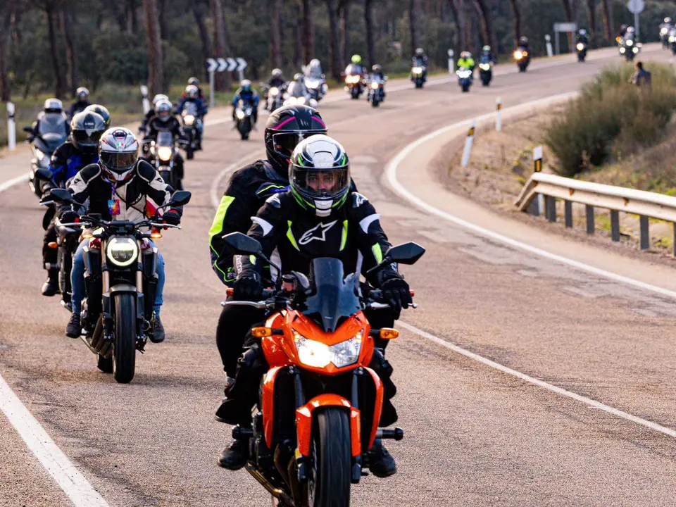 Ping&uuml;inos 2024. Fotograf&iacute;a: Turismo Valladolid. Agenda e informaci&oacute;n