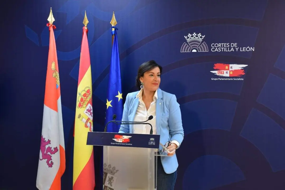La secretaria de Organización  del PSOECyL, Ana Sánchez, en las Cortes