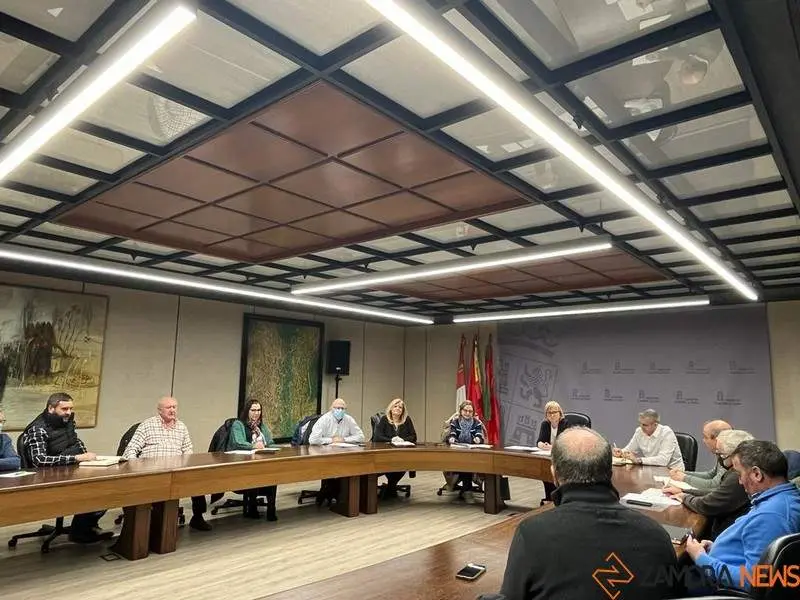 reunión Delegada de la Junta y alcaldes de la zona de Sanabria 