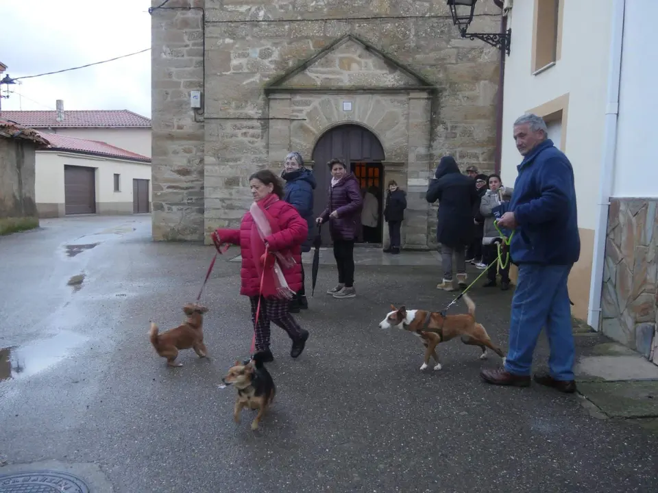 San Antón en Camarzana de Tera. Imagen cedida (1)