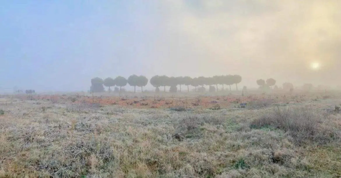 Imagen ganadora del primer concurso de fotografía de IES Los Valles