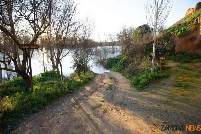 Subida del caudal del río Duero a su paso por Toro (2)