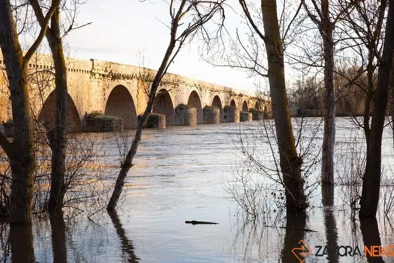 Subida del caudal del río Duero a su paso por Toro (5)