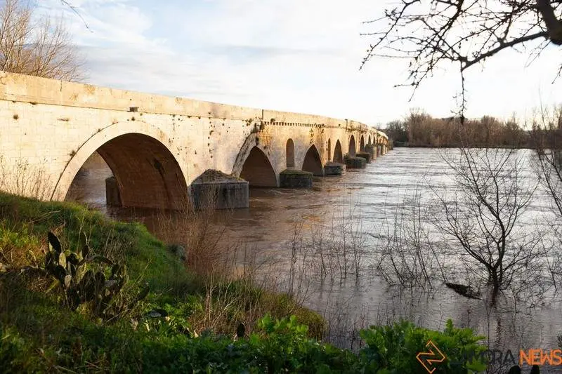 Subida del caudal del río Duero a su paso por Toro (6)