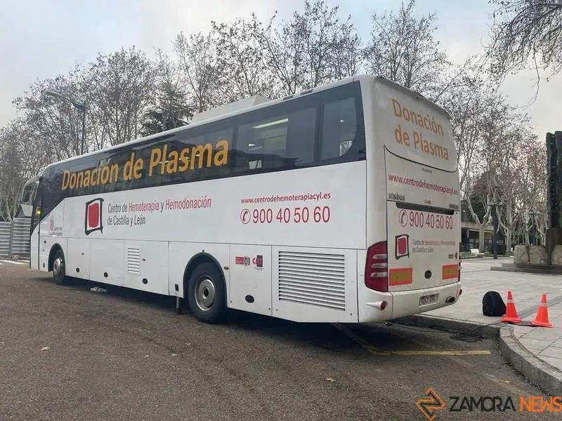 plasmabus