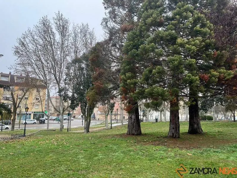 Parque de San Martín (2)