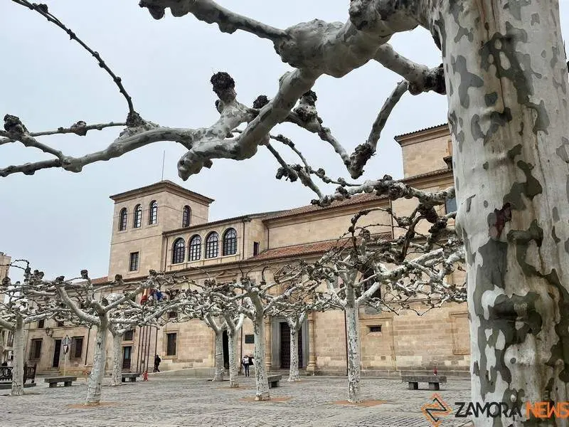 Diputación de Zamora (1)
