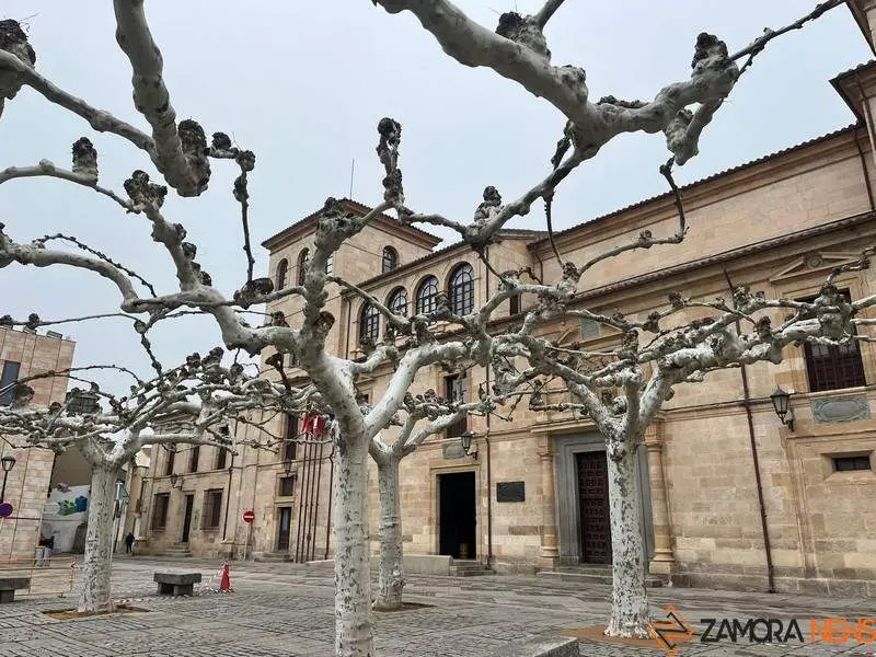 Diputación de Zamora (2)