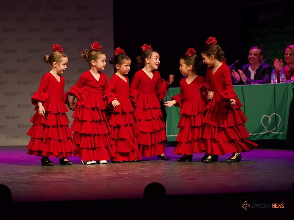“Muestra de Baile” a favor de la Asociación Autismo Zamora