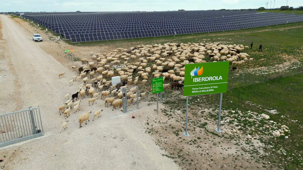Revilla Vallejera, refugio para la biodiversidad