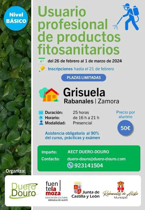 CartelCursoGrisuela