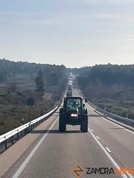 tractorada Alcañices _6