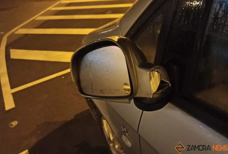 retrovisor roto en Zamora 