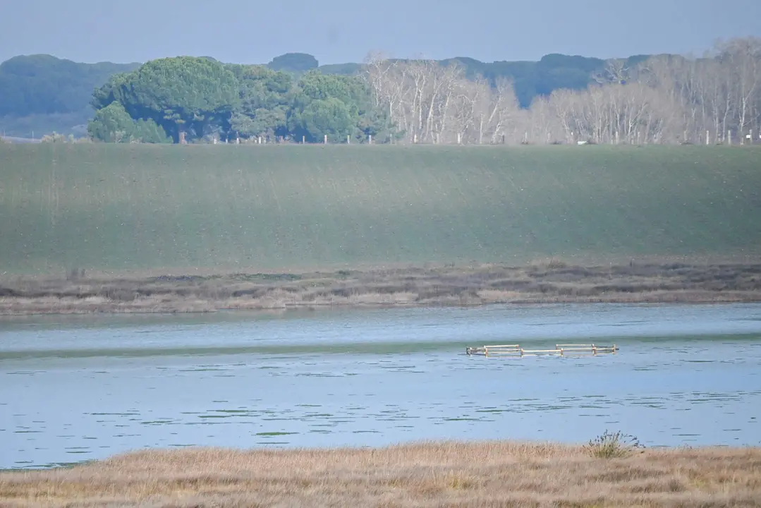 Visita al humedal de Bodón Blanco