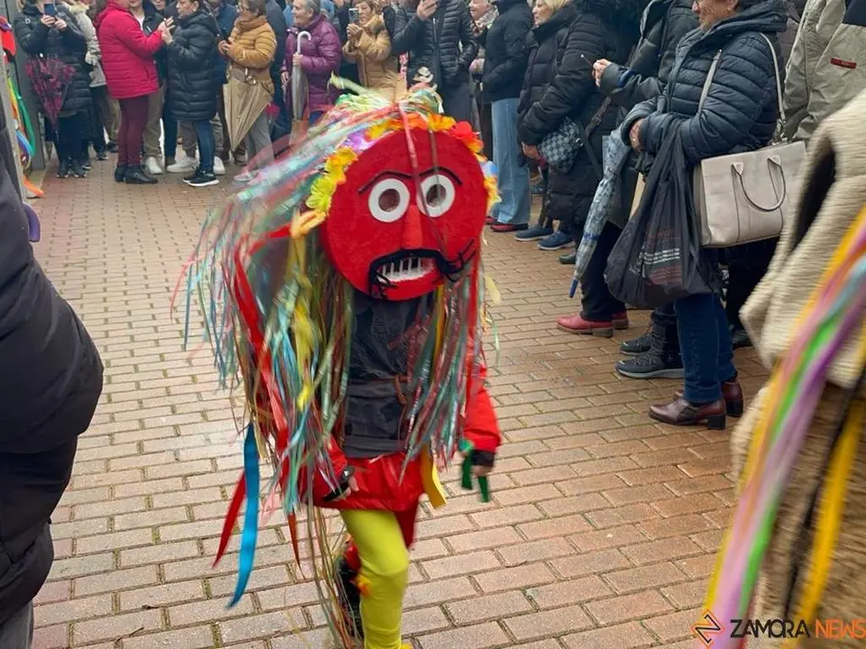 Carnaval colegio de las Viñas_7