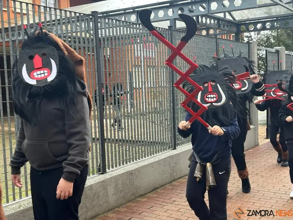 Carnaval colegio de las Viñas_21