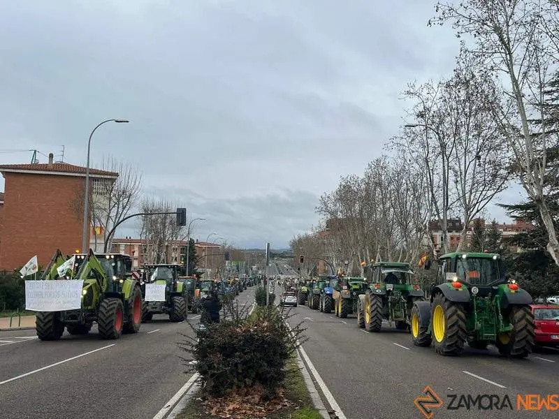 Tractorada en Zamora (2)
